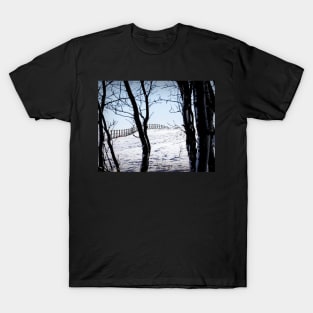 Out of the woods. T-Shirt